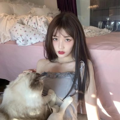 热铁皮屋顶上的猫